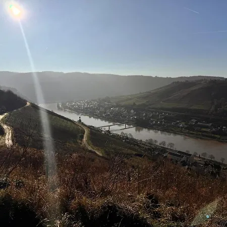 Moselblick Im Denkmal Zell an der Mosel