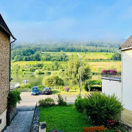 Moselblick Im Denkmal * Zell an der Mosel