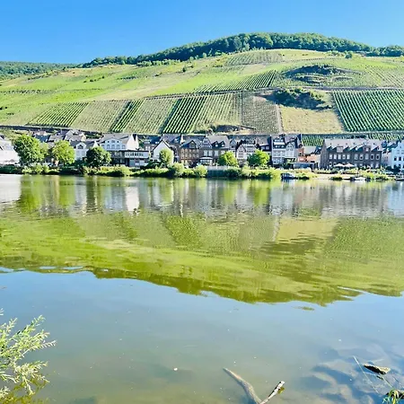 Apartamento Moselblick Im Denkmal