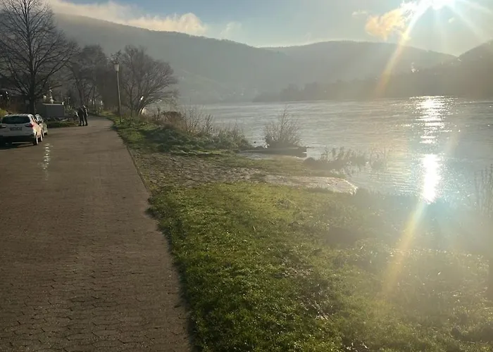Apartamento Moselblick Im Denkmal