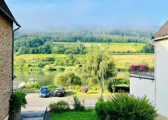 Moselblick Im Denkmal * Zell an der Mosel