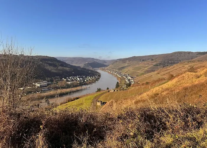 Apartamento Moselblick Im Denkmal *
