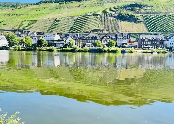 Apartamento Moselblick Im Denkmal